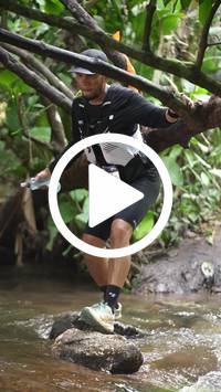 BIB:  <button type="button" onclick="openModal(27825198)" class="btn btn-primary btn-sm float-right" data-toggle="modal" data-target=".modal-high-quality">
                <i class="fa fa-download"></i> Download
                </button>